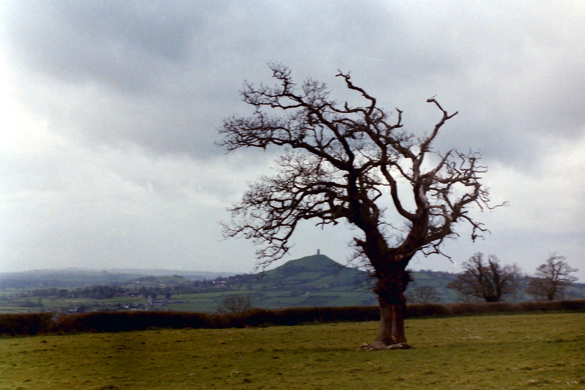 [Glastonbury]