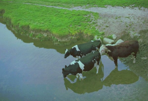 [Lechlade]