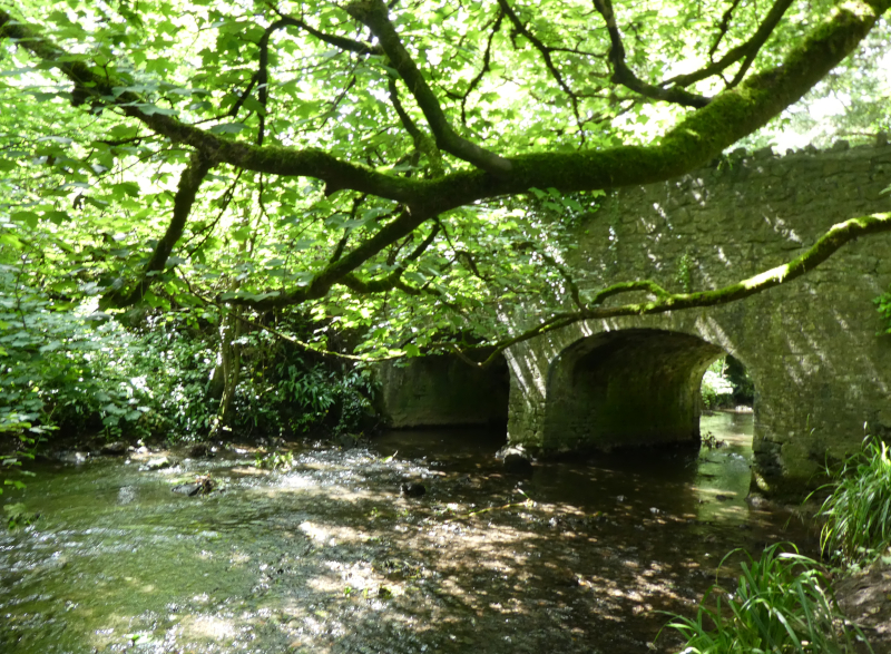 Mells River