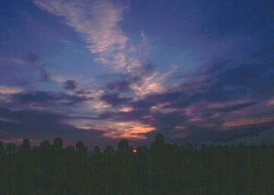 Dawn on Midsummers Day