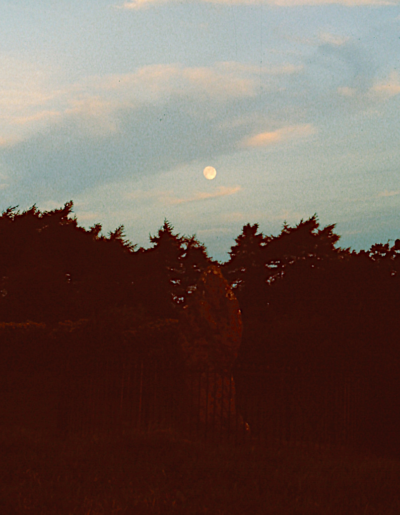 Moon