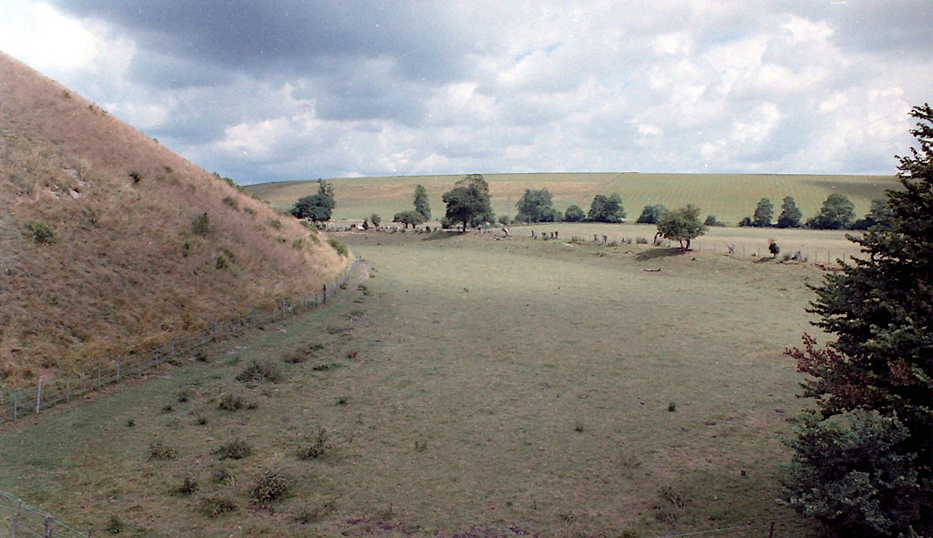 Silbury Ditch