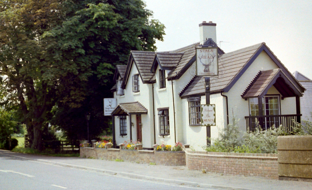 The White Stag